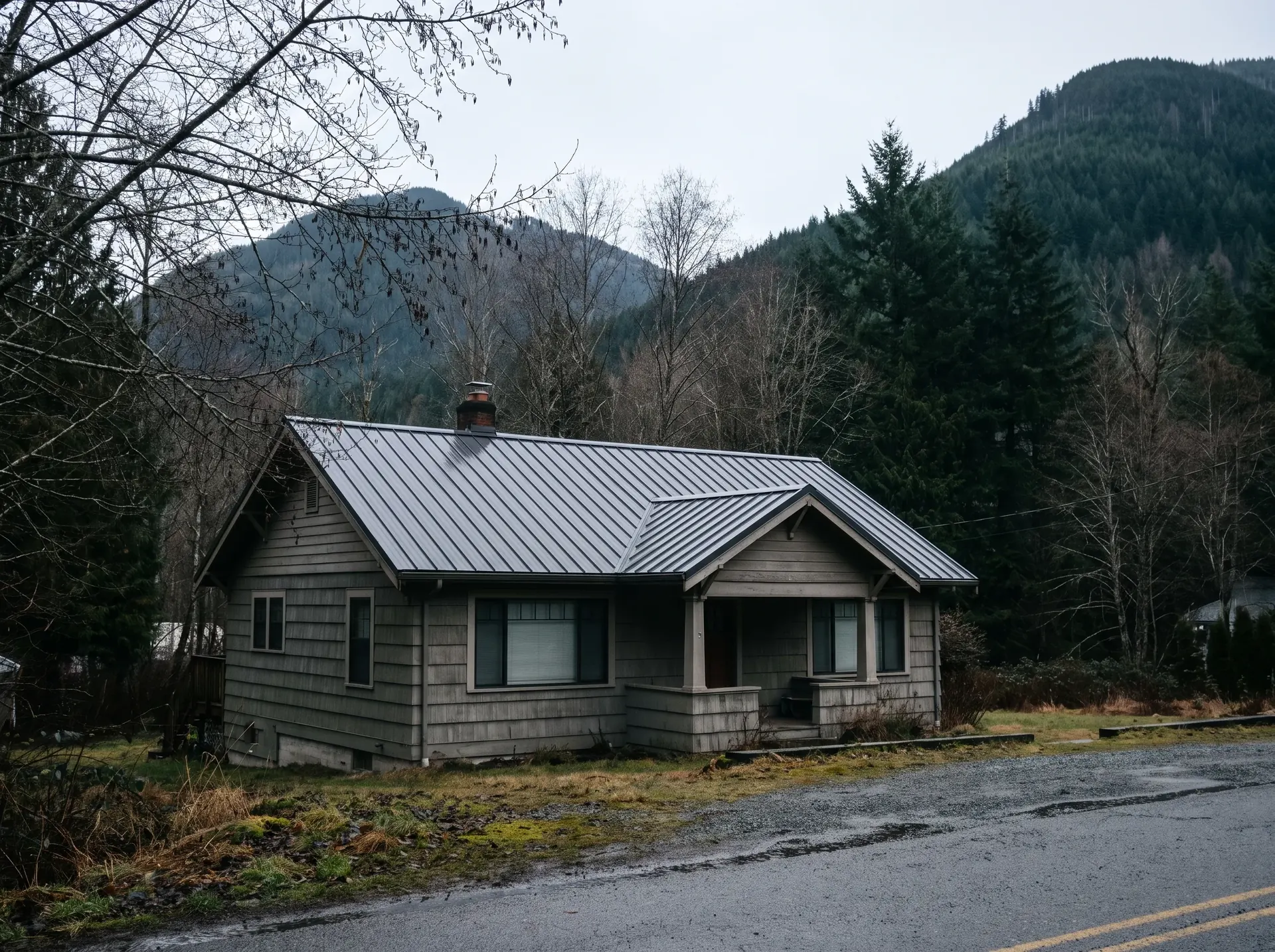 Single storey home with a new metal roof below the foothills in Sumas