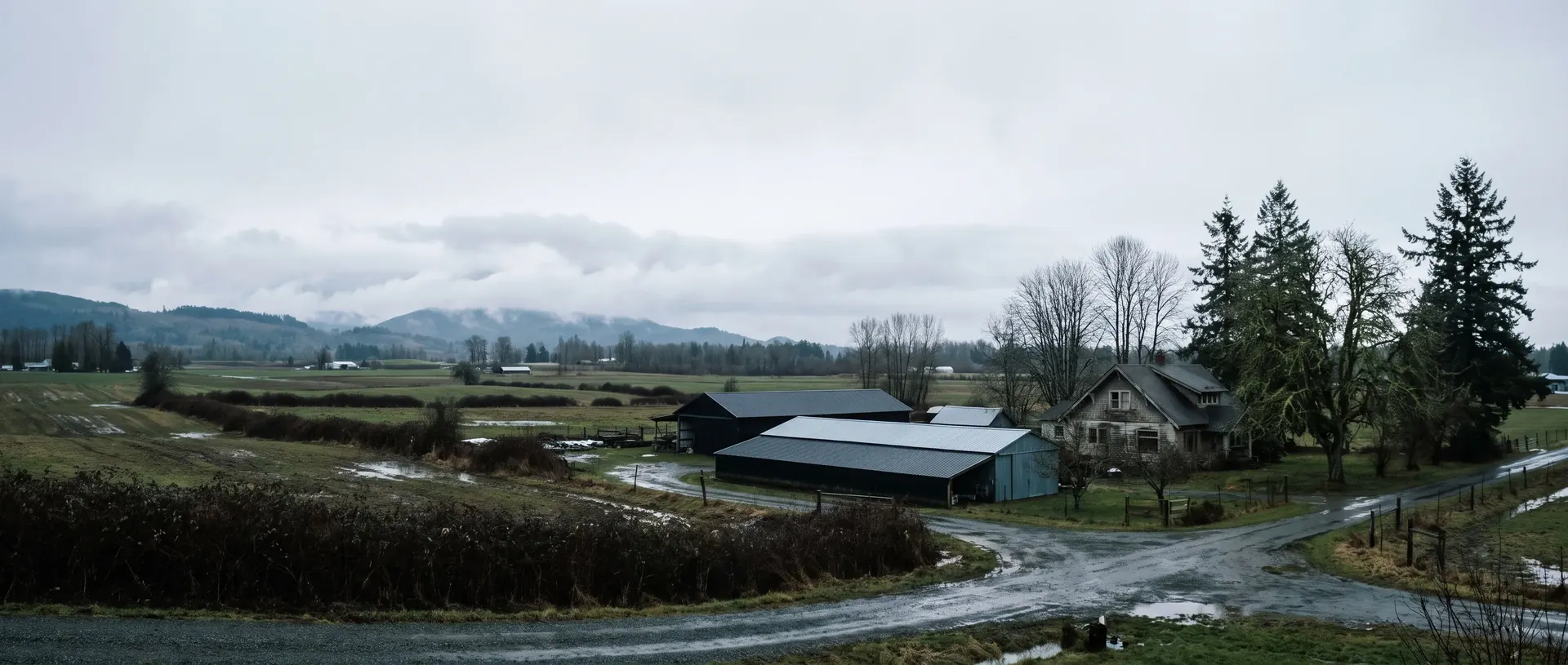 Whatcom County farmland with metal roofed farm buildings below the foothills