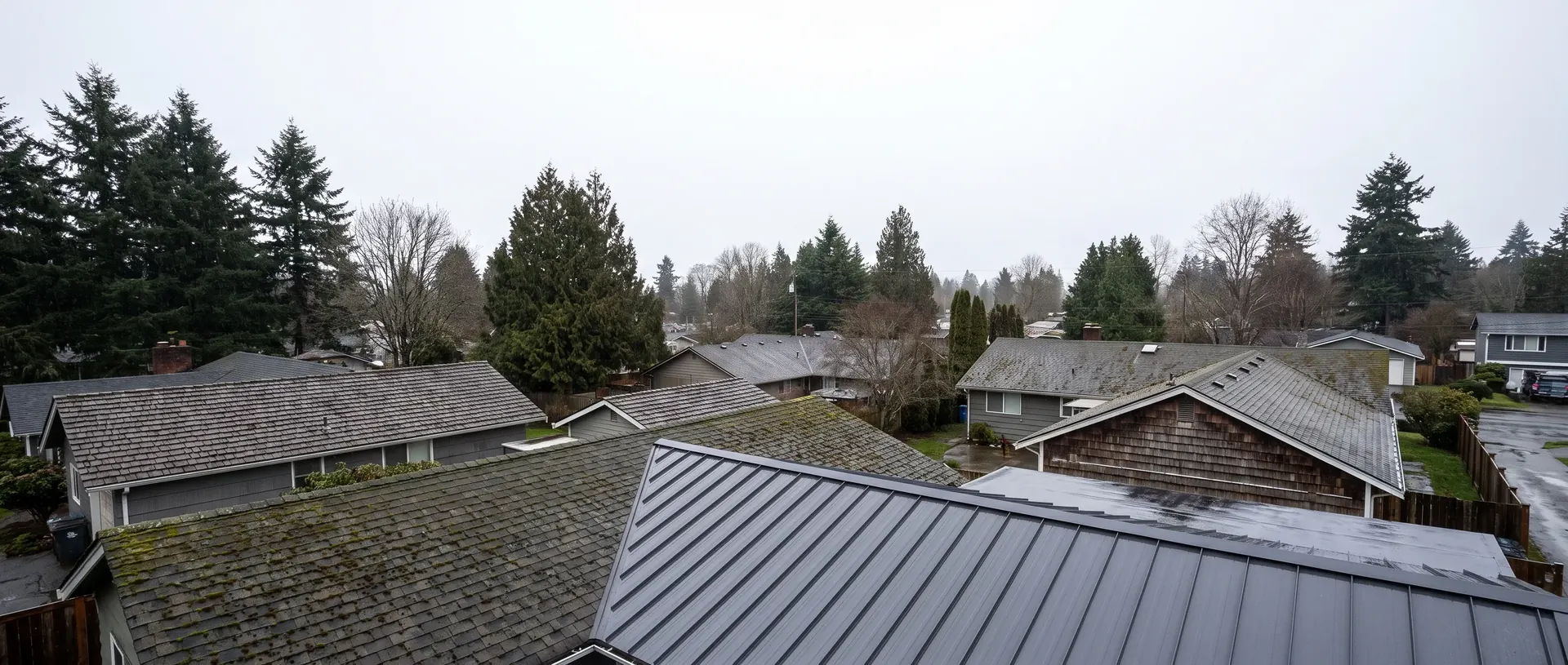 Whatcom County rooftops from above, new metal roofs beside mossy shingle roofs